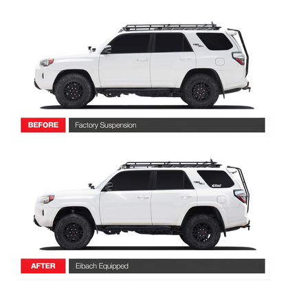 Kit amortiguadores Eibach 4Runner 10-24